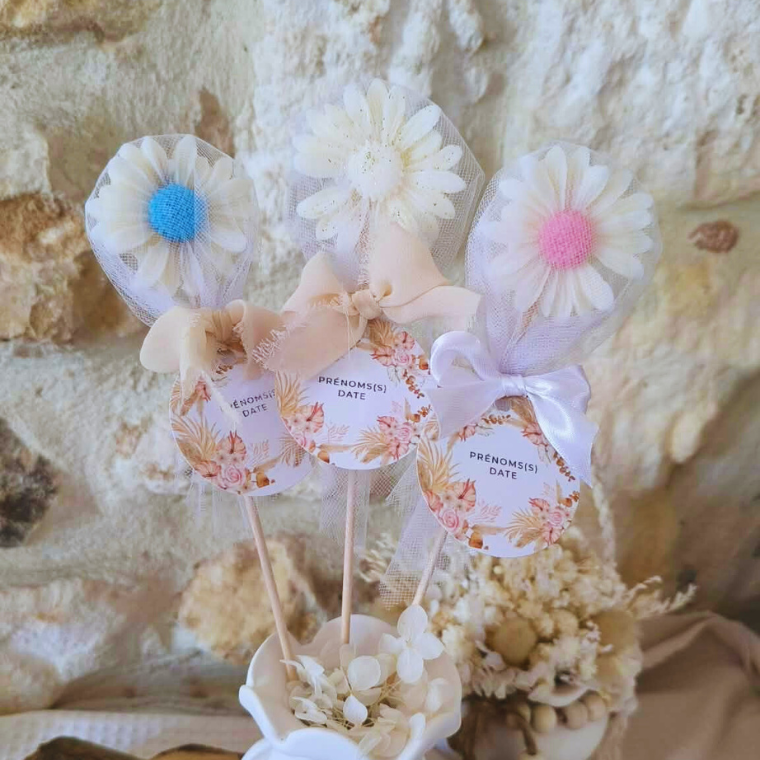 Pâquerettes événements