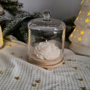 Bougie Ivy sous cloche