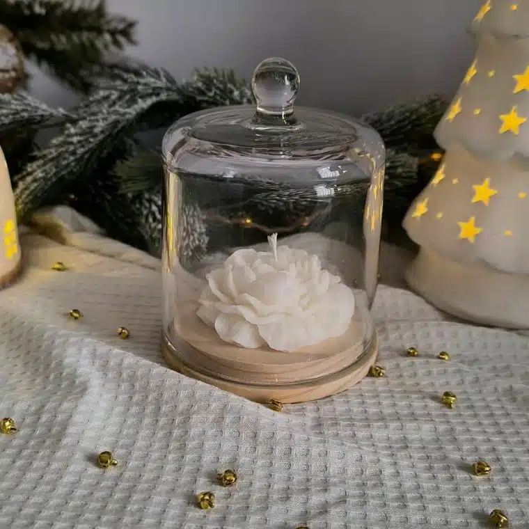 Bougie Ivy sous cloche